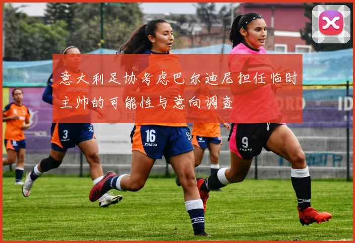 意大利足协考虑巴尔迪尼担任临时主帅的可能性与意向调查