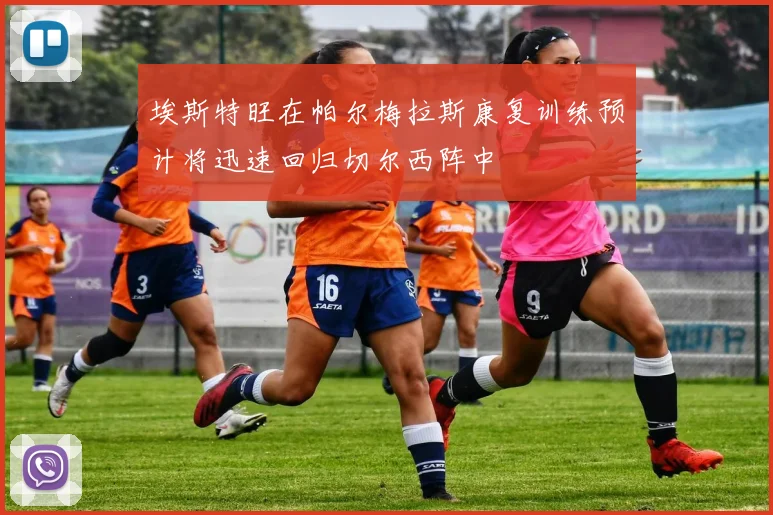埃斯特旺在帕尔梅拉斯康复训练预计将迅速回归切尔西阵中
