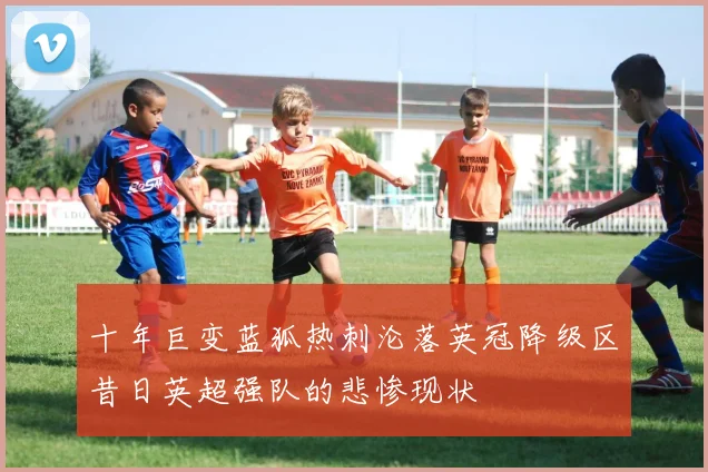 十年巨变蓝狐热刺沦落英冠降级区昔日英超强队的悲惨现状